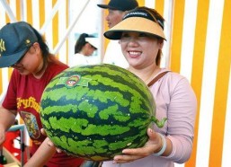 吃瓜娱乐会,吃瓜娱乐背后的真相与内幕