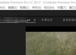 p视频,揭秘其背后的故事与影响