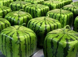 哪里都有中国人娱乐吃瓜,中国“吃瓜群众”的足迹