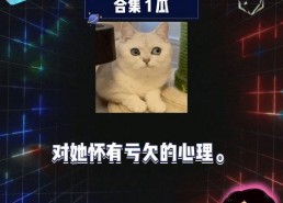 娱乐综艺吃瓜八卦,揭秘明星幕后那些事儿