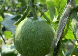 吃娱乐圈连串的瓜,揭秘明星背后的故事