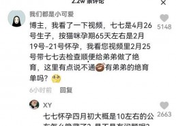 娱乐圈吃瓜抖音博主,抖音吃瓜博主带你探秘明星幕后生活