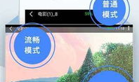 青娱乐分类视频,盘点热门题材，解锁潮流娱乐新视角