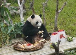 娱乐吃瓜酱南宁动物园,探秘动物乐园，共享欢乐时光