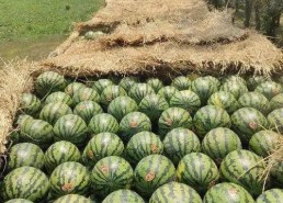 2021年吃瓜大全,盘点娱乐圈、社会热点那些事儿